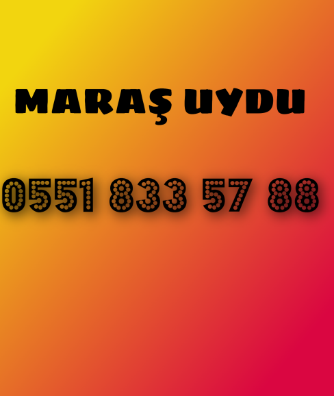 Uydu Montajı